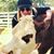 Hilary Knight Parker's profile image