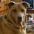 Diane Sabella Hetrick's profile image
