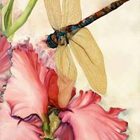 April Baxley's profile image