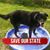 Shana Anderson's profile image