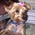 Teresa Coble's profile image