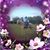 Amy Boswell's profile image