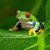 Jennifer Altman Norman's profile image