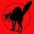 Mike Johnson's profile image