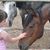 Cynthia Bradshaw's profile image