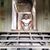 Palak Majmudar's profile image