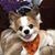 Shannon Snyder's profile image