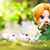 Amanda Anderson's profile image