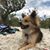 Diane Neary's profile image