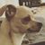 Leah Zart's profile image