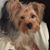 Deb Loschen's profile image