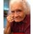 William Torricelli's profile image