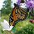 Peggy Sue Leggett's profile image