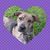 Pam Ciechalski's profile image