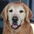 Candace Carriere's profile image