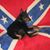 Dwayne Deese's profile image
