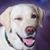 Kathy Sobel's profile image