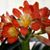 Viorica Timosca's profile image