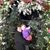 Shellie James Willis's profile image