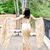 Debbie Williams Hairston's profile image