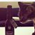 Booze N Candy's profile image