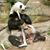 Seb Ou's profile image