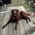 Shane Sauer's profile image