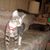 Lorraine Golla's profile image
