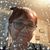 Christine Easterwood's profile image