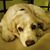 Leigh Harville's profile image