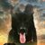 Keli Andrea's profile image