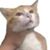 Brycen Doby's profile image