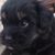 Tammy Ade Morman's profile image