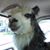 Stephanie Martin-Ward's profile image