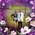 Michelle N. Walsh's profile image