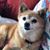 Claudia A. Smith's profile image