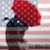 Miller Brashear's profile image