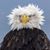 Joseph P Gray's profile image