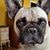 Barbara Blaine Davis's profile image