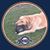 Graig Helt's profile image