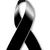 Alonso Conde Montalvo's profile image