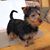 Connie Tolsma-Bisby's profile image