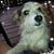 Debi Westerman Bordelon's profile image