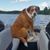 Bob Riley's profile image