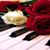 Claudete Barros's profile image