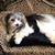 Julia Schieffer Loehr's profile image