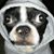 Lawrence Lutz's profile image