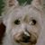 Lorraine Donley's profile image