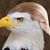 Chuck Wagner's profile image
