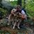 Jodi Bradley Shell's profile image